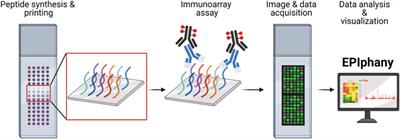 EPIphany—A Platform for Analysis and Visualization of Peptide Immunoarray Data